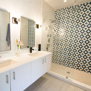 Bathroom Sink and Shower Renovations