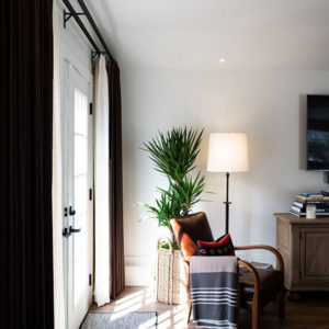 living room with chair, plant, and throw