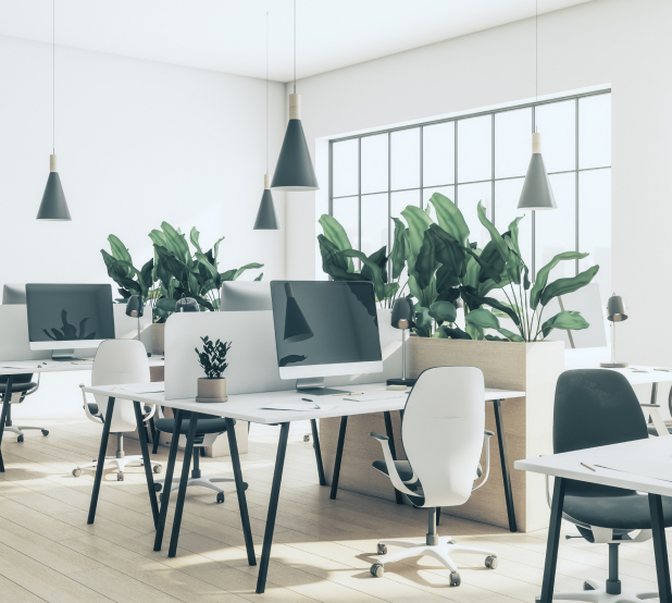 Bright open office environment with large windows and greenery.